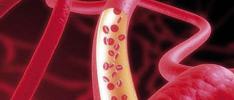krvne žile